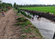 PKTD / DD Warga Desa Karang Sari Bergotong Royong Bersihkan Parit Tersier