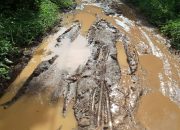 Jalan Desa Ulak Paceh Jaya Menuju Kantor UPTD Perlu Perhatian Pemkab Muba
