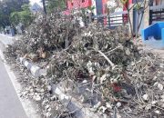 Sampah Bekas Pohon Tumbang Depan DPMD Muba Belum Terangkut DLH