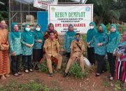 KWT Rukun Makmur Hasilkan Kebun Demplot