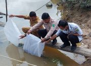 Pemdes Muara Teladan Lakukan Penebaran 40.000 Ekor Bibit Ikan Patin Di Sungai Desa