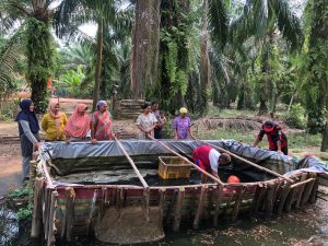 Pemdes Tenggulang Jaya Panen Ikan Lele Hasil Program Ketahanan Pangan Desa
