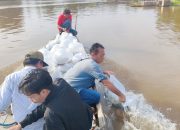 Pemdes Petaling Lakukan Penebaran Benih Ikan Di Sungai Desa