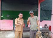 Pemdes Seratus Lapan Salurkan Itik Petelur Kepada Masyarakat Desa