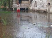 Warga Desa Sumber Jaya Harapkan Pemerintah Dapat Menormalisasi Saluran Primer Penyebab Banjir