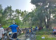 Pemdes Pulai Gading Adakan Kegiatan Gotong Royong Bersih-bersih Makam Desa