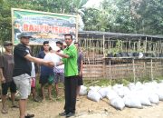 Pemdes Talang Mandung Adakan Kegiatan Ketahanan Pangan Dari Dana Desa