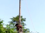 Dalam Menyambut HUT RI Ke 78 Tahun Pemdes Karang Ringin II Adakan Lomba Panjat Pinang