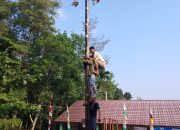 Memeriahkan HUT RI Ke 78 Tahun Pemdes Sinar Jaya Adakan Lomba Panjat Pinang