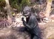 Nenek Zur Ternyata Masih Ada Anak Kandung!!! Diduga Tak Merawat Nenek dan Tak Perduli!!!