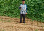 Pemdes Beji Mulyo Panen Sayuran-sayuran Hasil KWT Desa