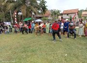 Memeriahkan HUT RI Ke 78 Tahun Pemdes Lubuk Buah Adakan Berbagai Kegiatan Perlombaan