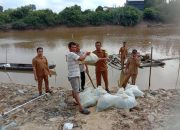 Pemdes Muara Teladan Tebarkan Bibit Ikan Nila Ke Sungai
