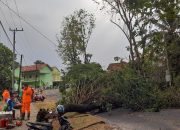 PLN Rayon Muba Lambat Mengatasi Kabel Yang Putus