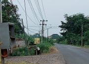 Pemkab Muba Diduga Membiarkan Atas Kesemerawutan Pemasangan Tiang Dan Kabel Di Jalan Sekayu -Pendopo