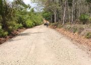 Pekerjaan Peningkatan Jalan Purwosari – Tanjung Agung Selatan Masih Dalam Pelaksanaan