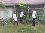 Pemdes Cinta Damai Adakan Kegiatan Pembagian Bibit Program Ketahanan Pangan Tahun 2023