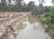 Pekerjaan Normalisasi Sungai Gemuruh Desa Pandan Dulang Diduga Sarat Dengan Korupsi
