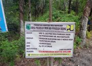 Dua Kegiatan Dalam Satu Jalur Jalan Inpres C7 Dengan Jalan Desa Talang Piase Diduga Tidak Sesuai RAB