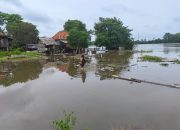 Desa Tanjung Agung Timur (TAT) Terendam Banjir, Warga Belum Mendapatkan Bantuan
