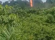 Diduga Sumur Bor Terbakar Hadiah Sertijab Kapolsek Sanga Desa