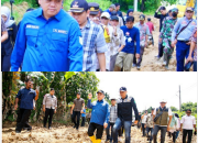 PJ BUPATI Muba Sandi Pahlepi, kroscek jalan rusak di kec. jirak jaya