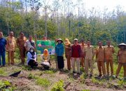 Pemdes Purwo Sari Lakukan Pengecekan Lahan Perkebunan Ketahanan Pangan Dialokasikan Untuk Tanaman Cabe