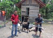 Pemdes Ringin Agung Salurkan 8 Ekor Kambing Dalam Kegiatan Ketahanan Pangan Kepada Kelompok Peternak