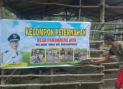 Pemdes Pangkalan Jaya Salurkan Hewan Ternak Sapi Dalam Kegiatan Ketahanan Pangan Kepada Kelompok Ternak