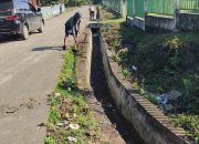 Pemdes Suka Damai Adakan Kegiatan PKTD Pembersihan Siring Di Dusun IV 