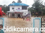 Akibat Hujan Deras 50 Rumah Terendam Banjir, Sebagian Ternak Warga Ikut Terbawa Arus