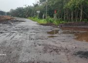 Pihak PT BCM Langgar Rekomendasi PU-PR Izin Crossing Akan Di Cabut