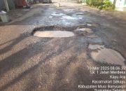 Parah Jalan Dalam Kota Sekayu Berlobang Ditanami Pisang Oleh Warga