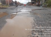 Jalan Lintas Tengah Antara Kecamatan Babat Toman-Perbatasan Muratara Rusak Parah