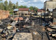 Si Jago Merah Melahap Habis 10 Rumah Dan 1 Gedung Walet Di Desa Kepayang