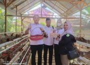 Pemdes TAB Laksanakan Program Ketahanan Pangan “Desa Ayam Petelur”