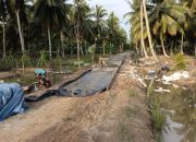 Desa Mulya Jaya Mendapatkan Pembangunan Jalan Ke Lorong Dengan Cor Beton