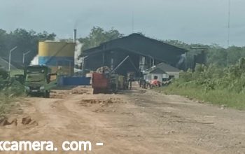 Perusahaan Pembelian Buah Sawit Dan Pabrik CPO Di Desa Suka Maju Diduga Tidak Mengantongi Izin Dari Pemkab Muba